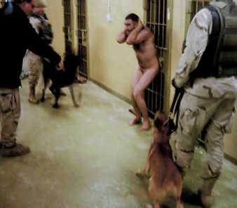 Naked Iraqi prisoner being menaced by attack dogs