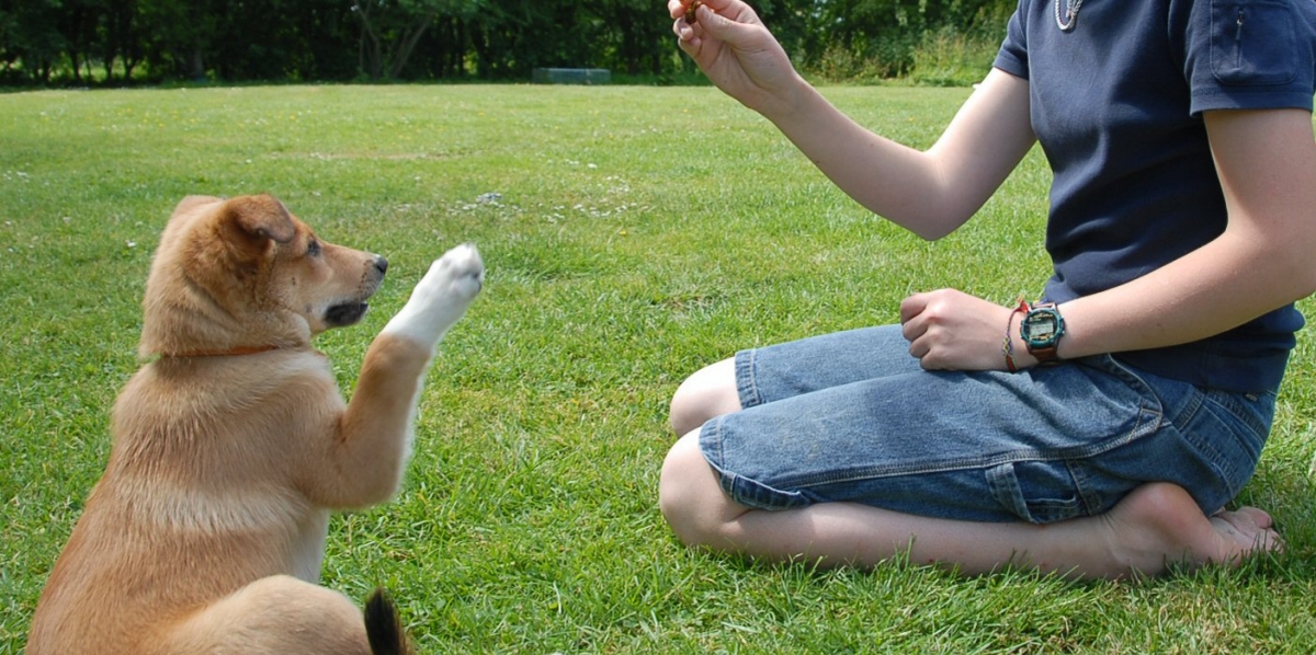 dog and guardian with paws in the air