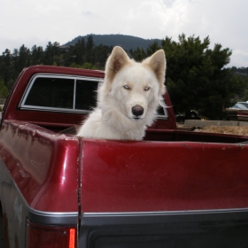 going home in the truck